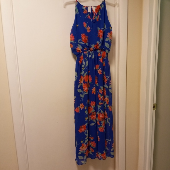 Enfocus Studios floral Maxi Dress Size 10 /box10 - Picture 7 of 8